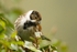 20120205-_MG_8519