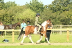 SBM_67435
