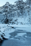 Glen Affric 1
