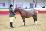 SBM_00459