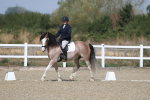 SBM_020919