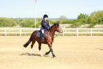SBM_006137