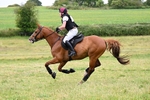 356-Jesse_Poyntz-Wright-KNOCKADERRY_JACK portfolio