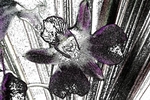 Translations - 23