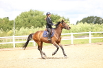 SBM_006572