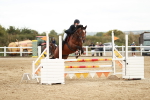 SBM_004806