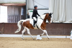SBM_001663