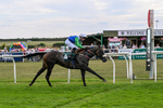 260826-Race 5-Novamay-3531