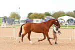 SBM_16596