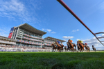 220825-Race 7-Fifth Column-9534