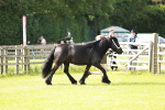 SBM_00809