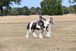 WJ6_8796