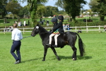 SBM_46971