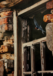 THE SUMMER RESIDENCE. SWALLOW.