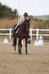 SBM_009079