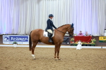 SBM_004233