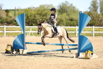 SBM_000661