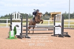 BPP_5952