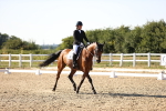 SBM_007640