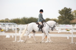 Class 12R Regional Ridden Pre-Vet portfolio