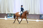 SBM_003549