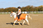 SBM_000460