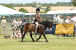 SBM_06799