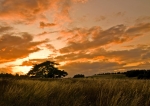 Luningstone Kent