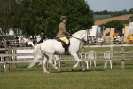 SBM_09547