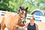 Trot Up 2pm to 3pm portfolio