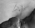 0075 - Dune Grass