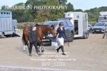 BPP_1203