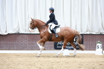 SBM_003244