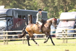 SBM_12987