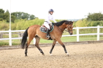 SBM_002375