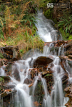 Autumn stream, Snowdonia