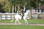 SBM_29461