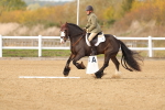 SBM_000953
