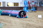 SBM_005456