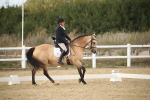 SBM_003099