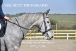 BPP_7246