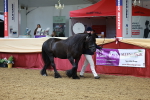 SBM_17314
