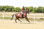 SBM_002368
