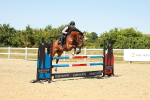 SBM_007055