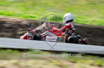 GKMC Hillclimb_02-08-2020_KART-6