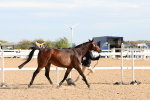 SBM_17892