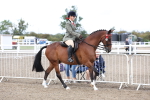 SBM_01481