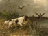 Countryside 13