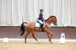 SBM_002384