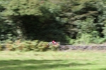 FOM_0656